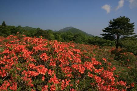 八方ヶ原